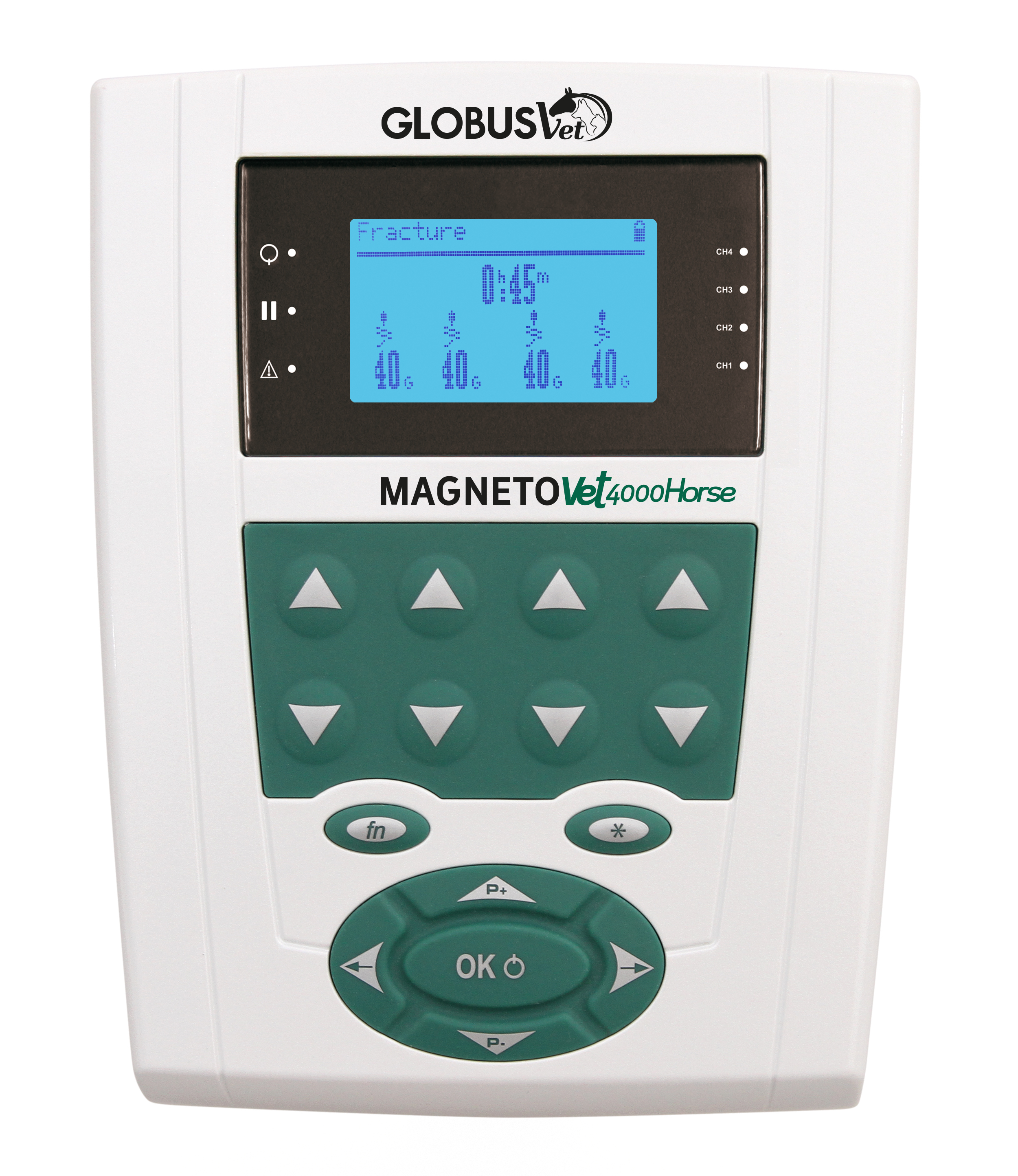 kit magnetovet 4000 horse pro