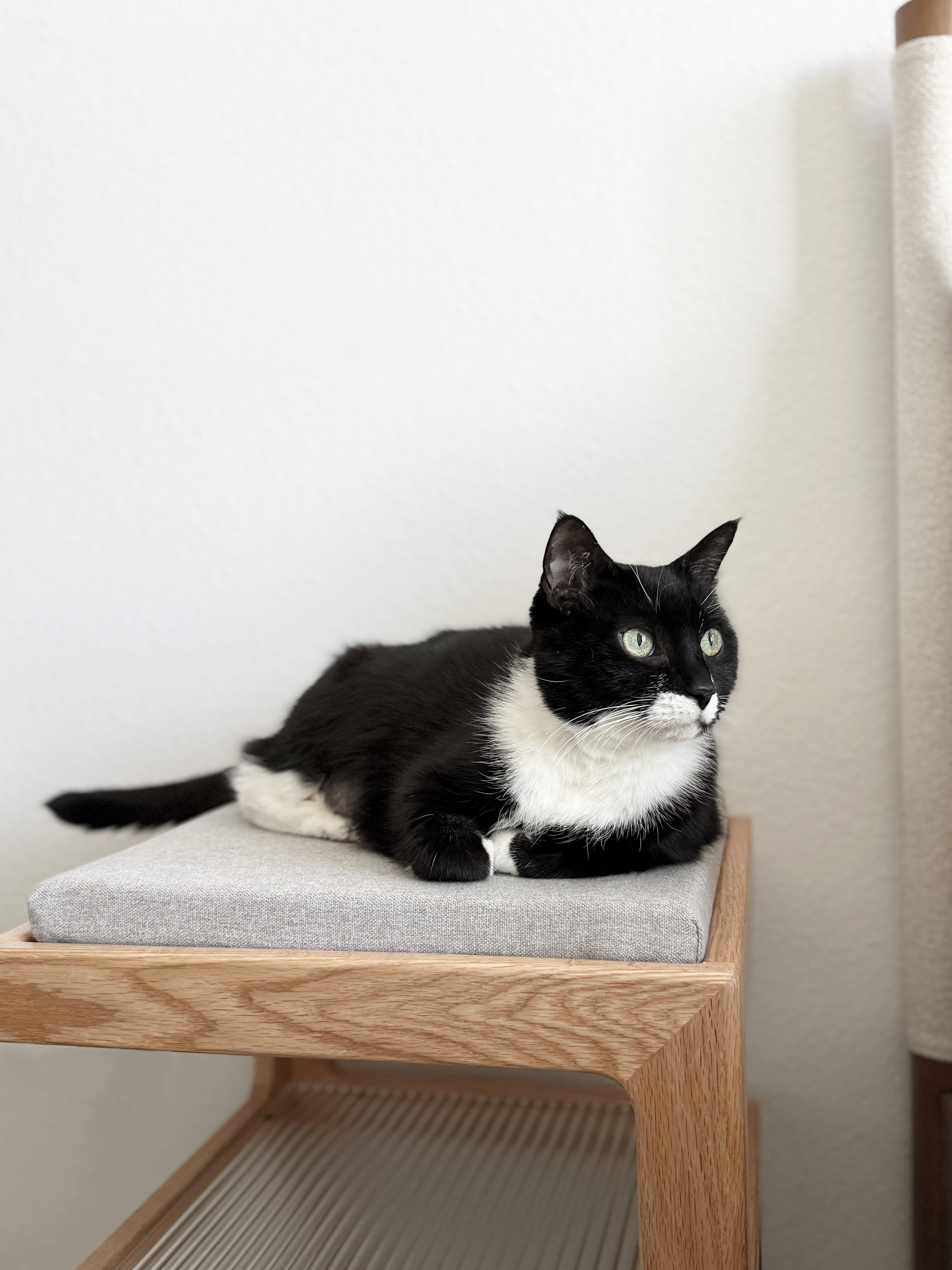 The Suite Side Table - Junior