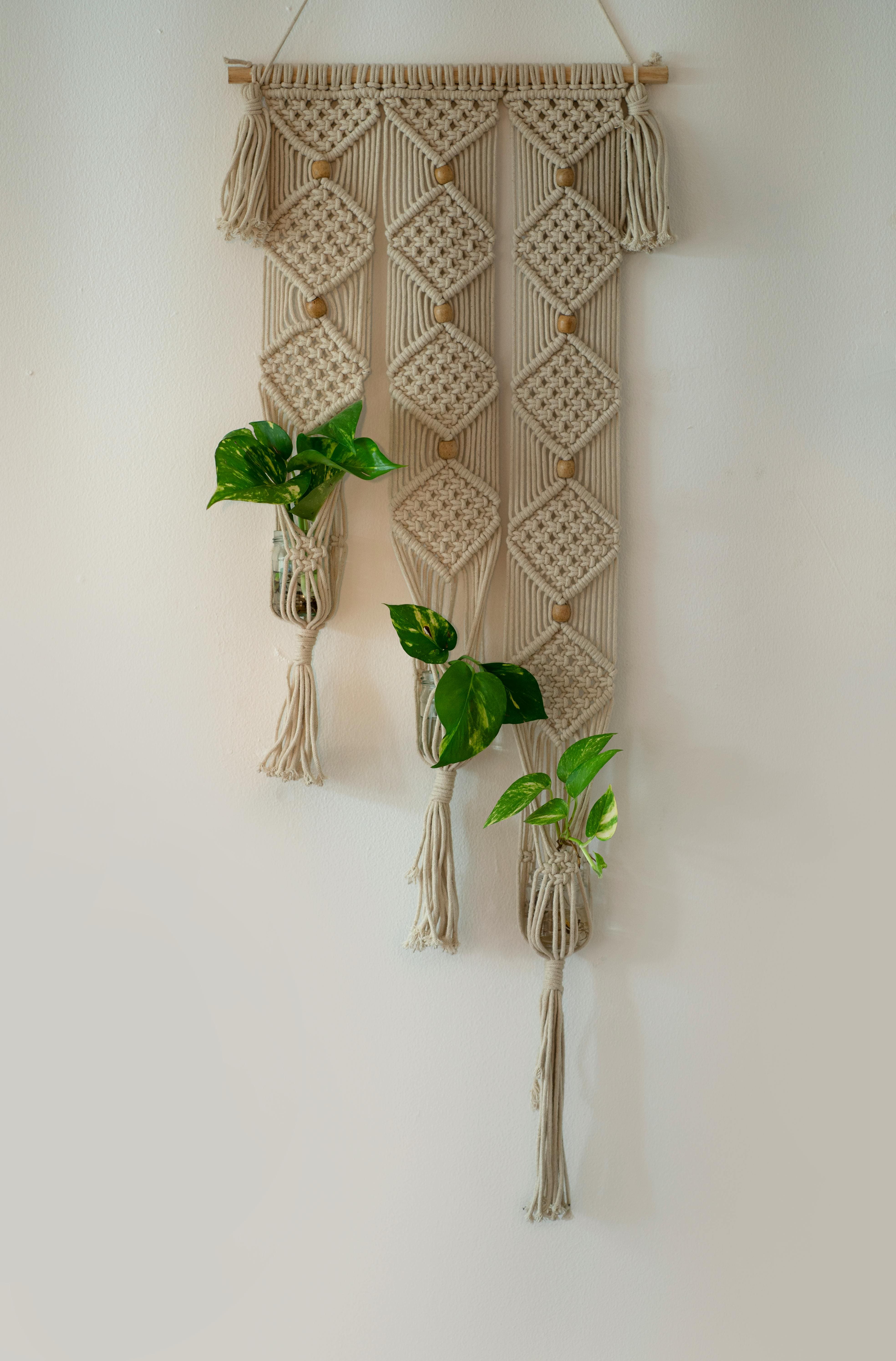 Taller Macrame Avanzado Presencial