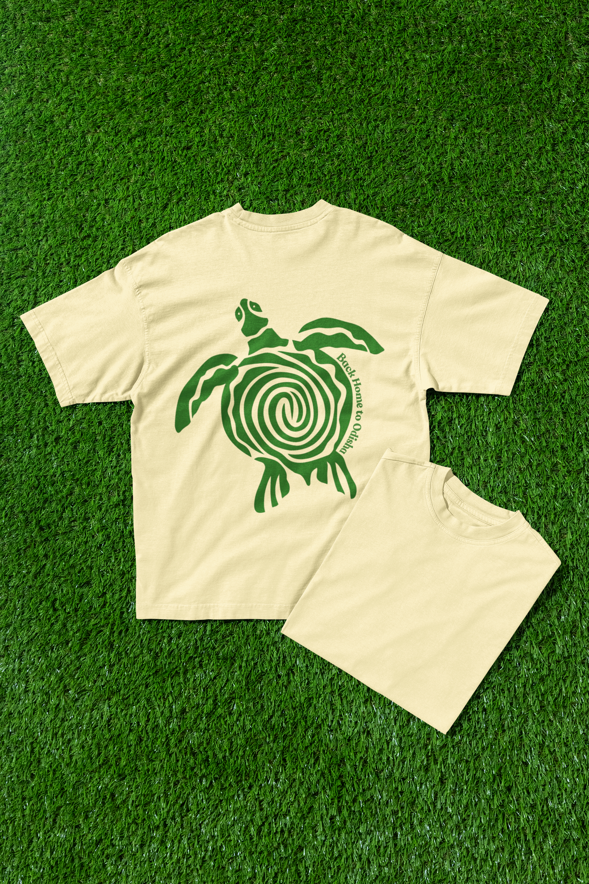 Back Home to Odisha - Turtle Edition