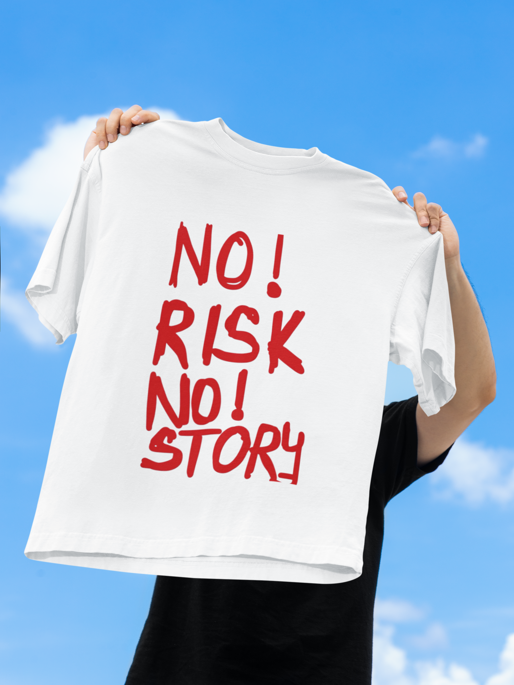 No Risk No Story 