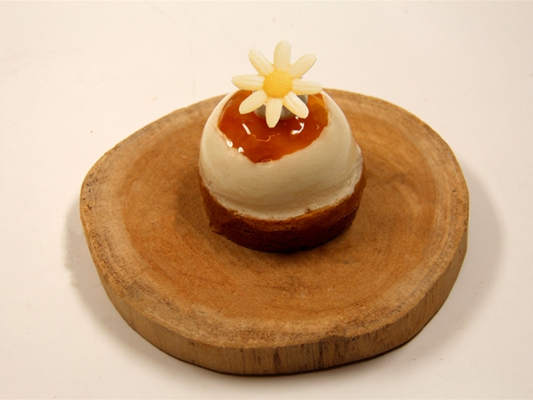 YOGHURT TROPICAL BOLGEBAKJE