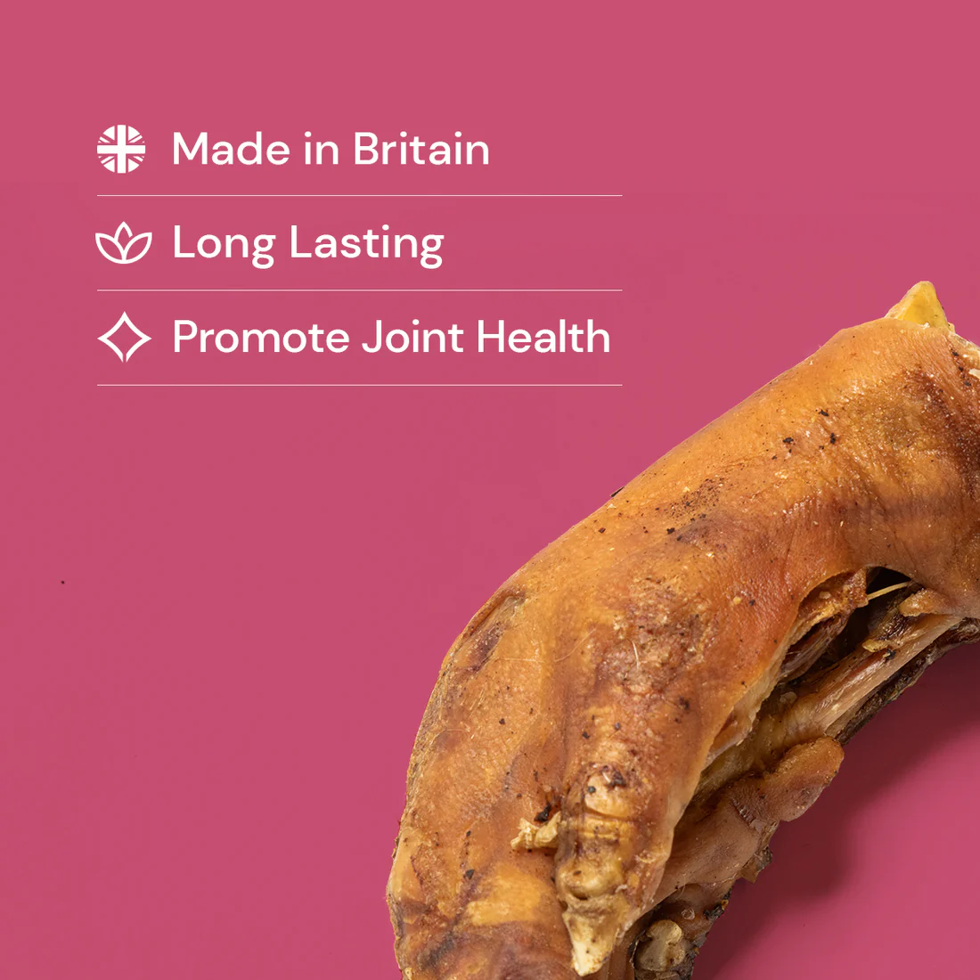 Natural Pig Trotter Dog Chew