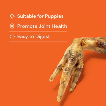 Crunchy Chicken Feet