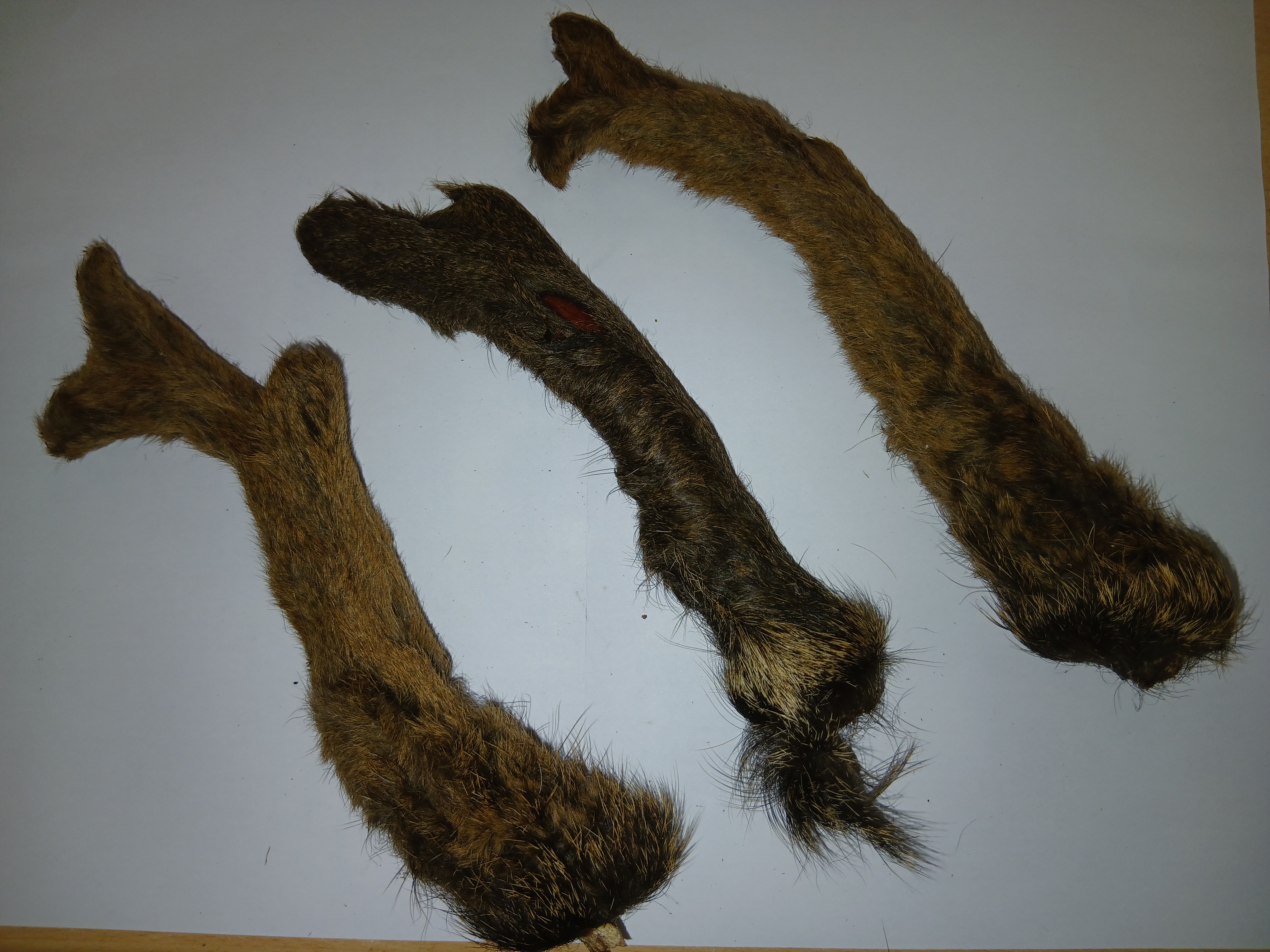 Deer Velvet Antler Dog Chew