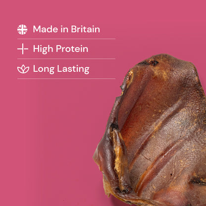 Dried Pig Ear Dog Chew