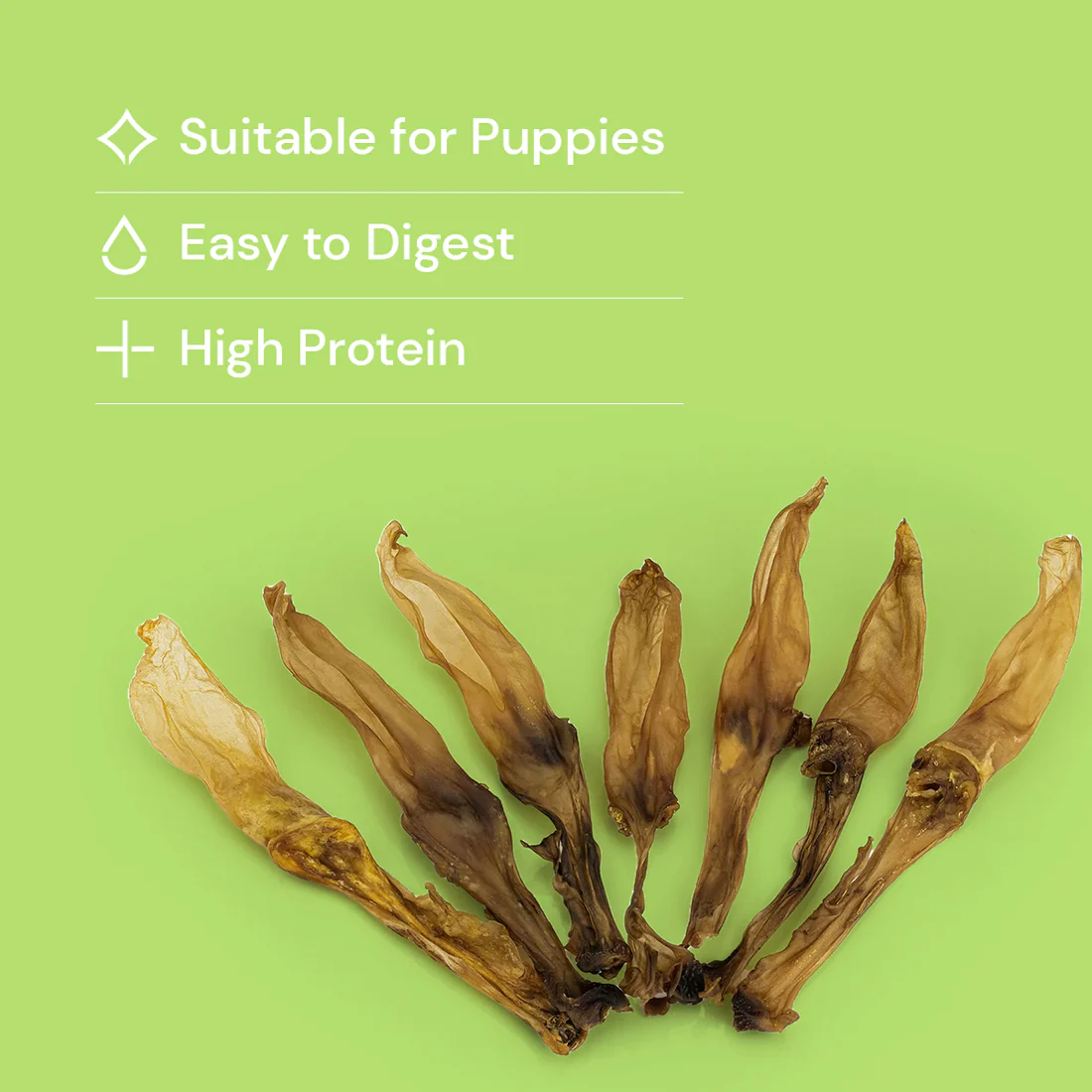 Plain Rabbit Ears - No Fur