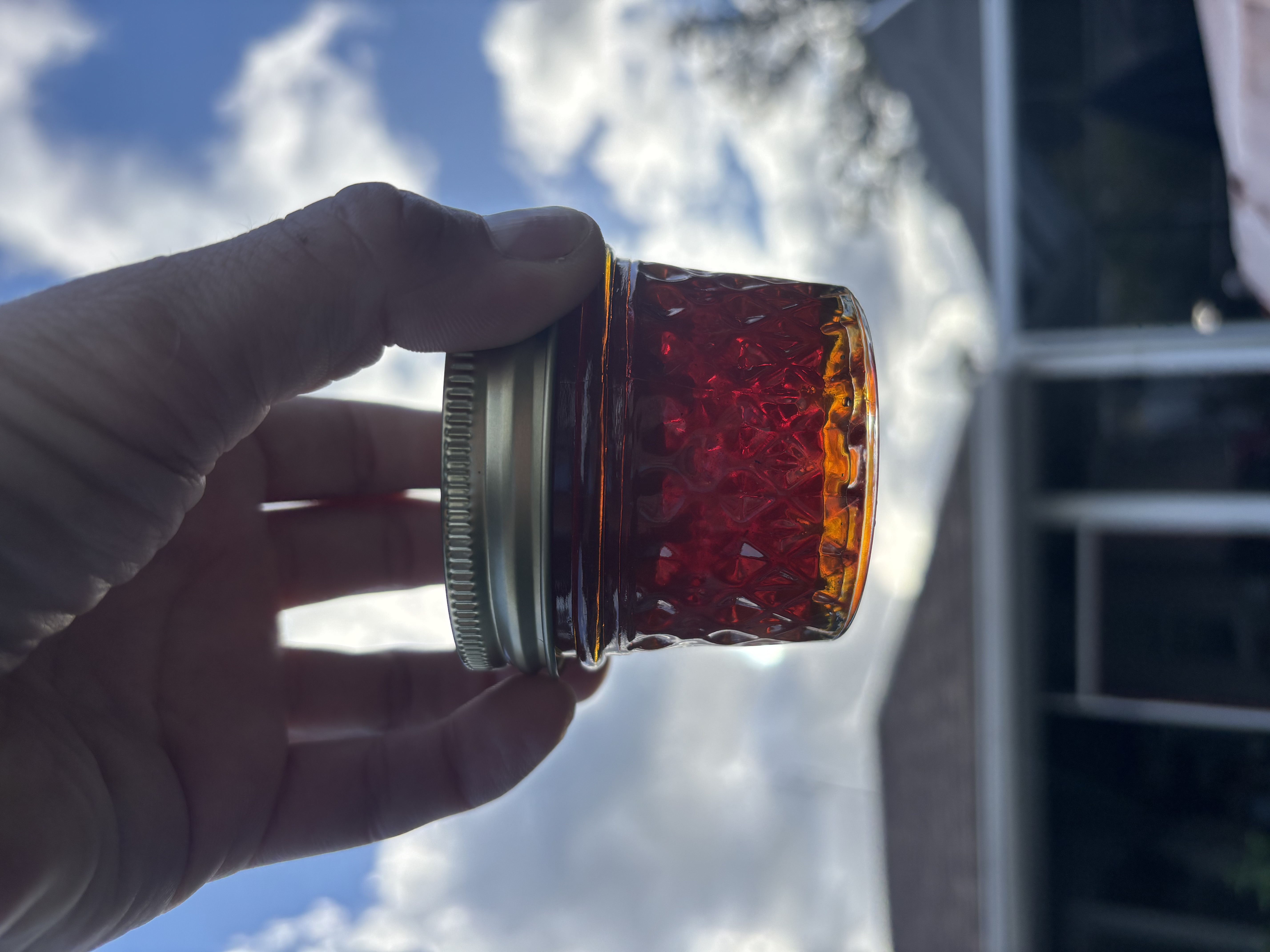 Raw Melaleuca Honey