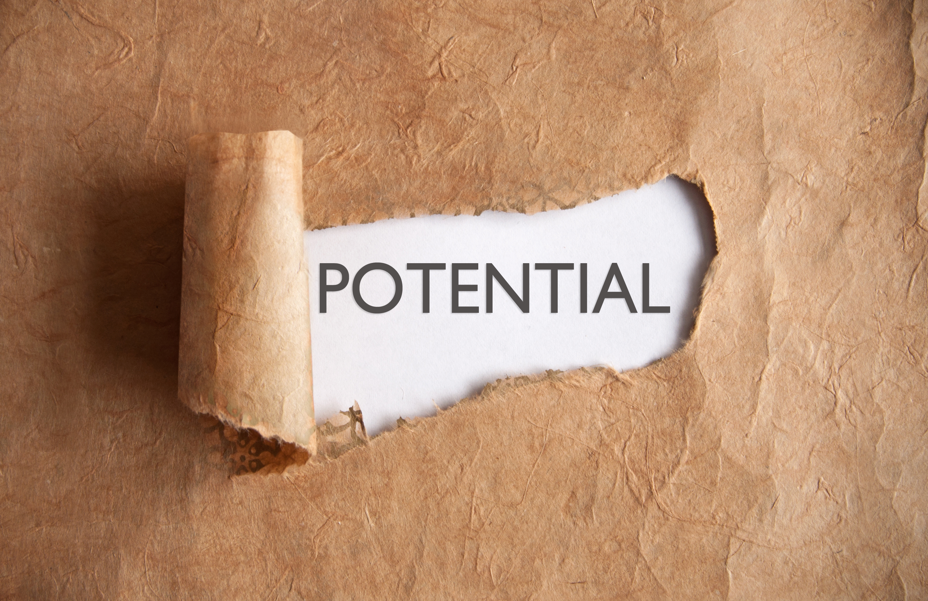 Individual Student-Directed Sesssions