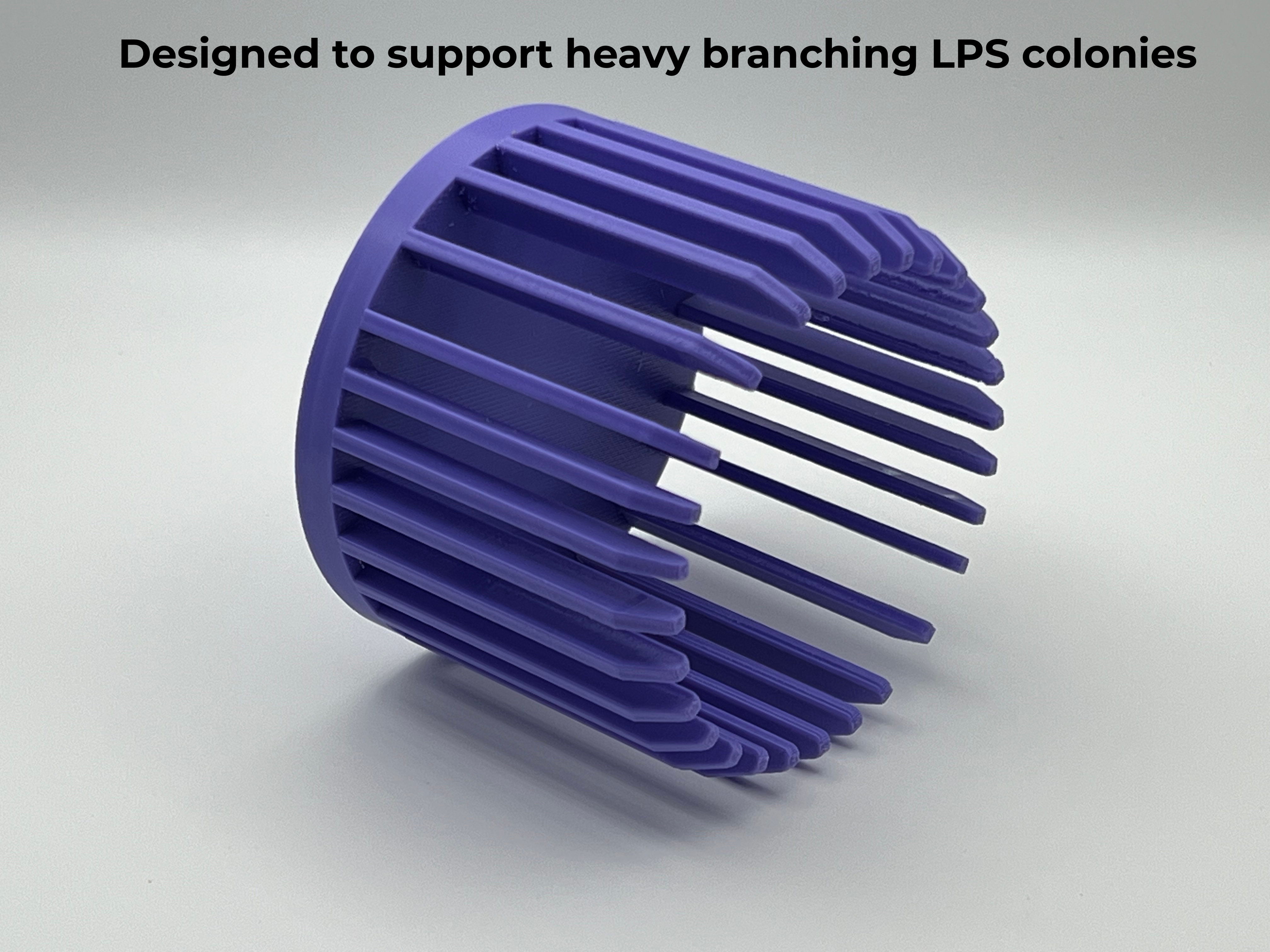 Coral Crown™ Branching LPS Stabilization & Support Ring (Flexible PETG Tension Lock)