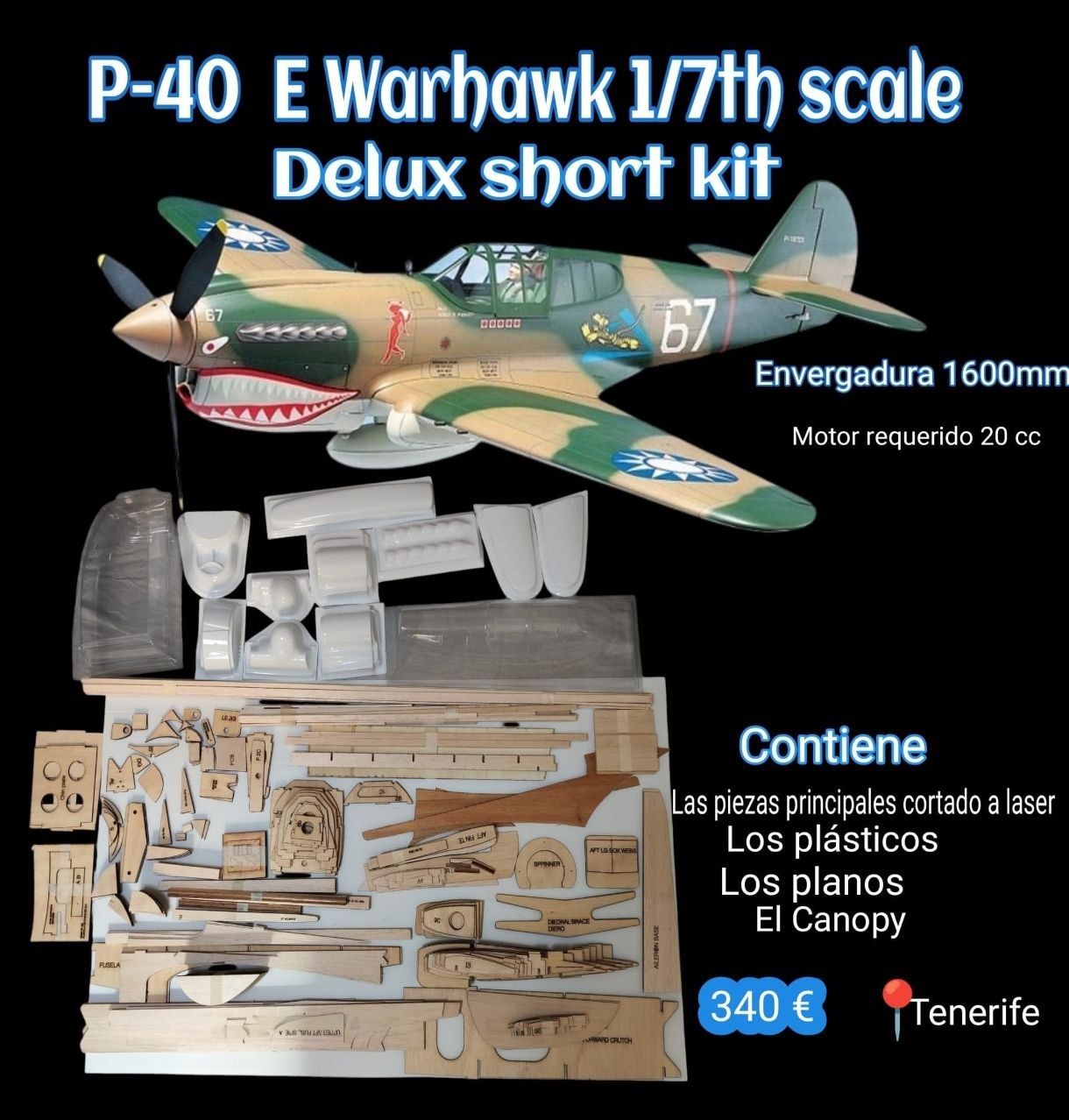 P-40 E Warhawk 1/7th scale