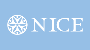 OPORTUNIDAD DE NEGOCIO NICE