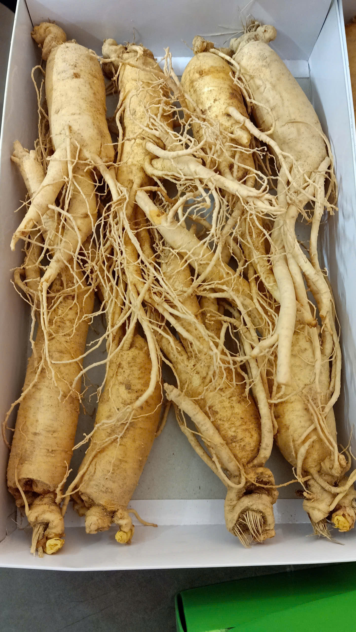 Nhân Sâm Hàn Quốc Tươi