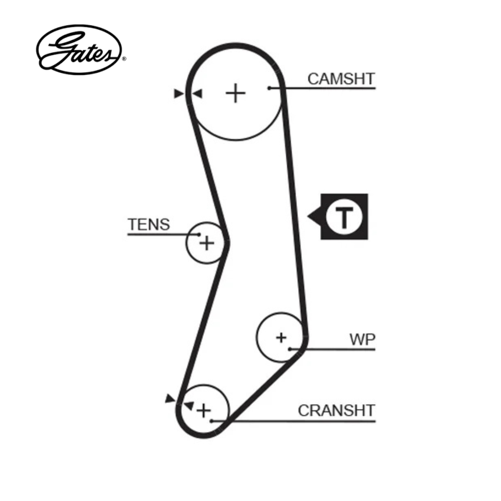 Correa de distribución Gates