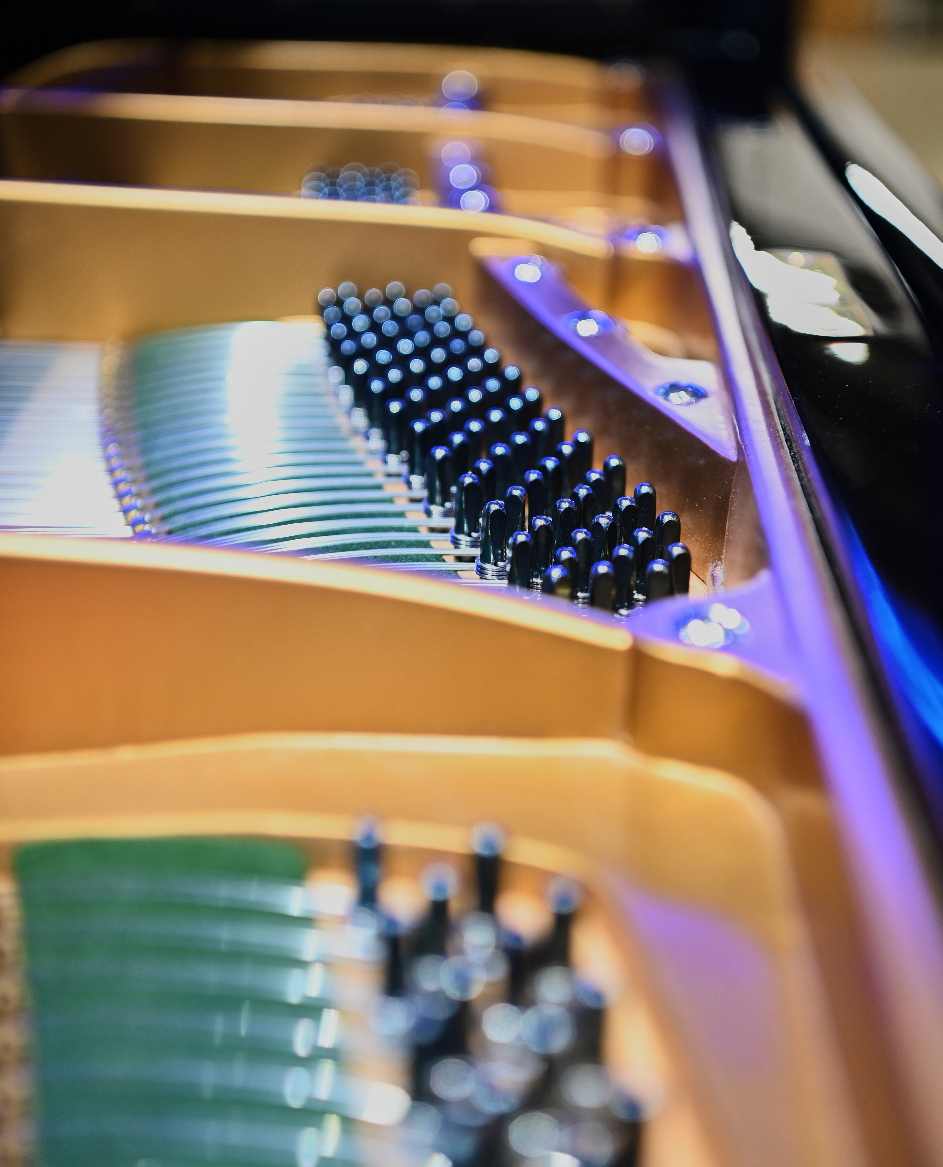 1923 Bechstein Model B