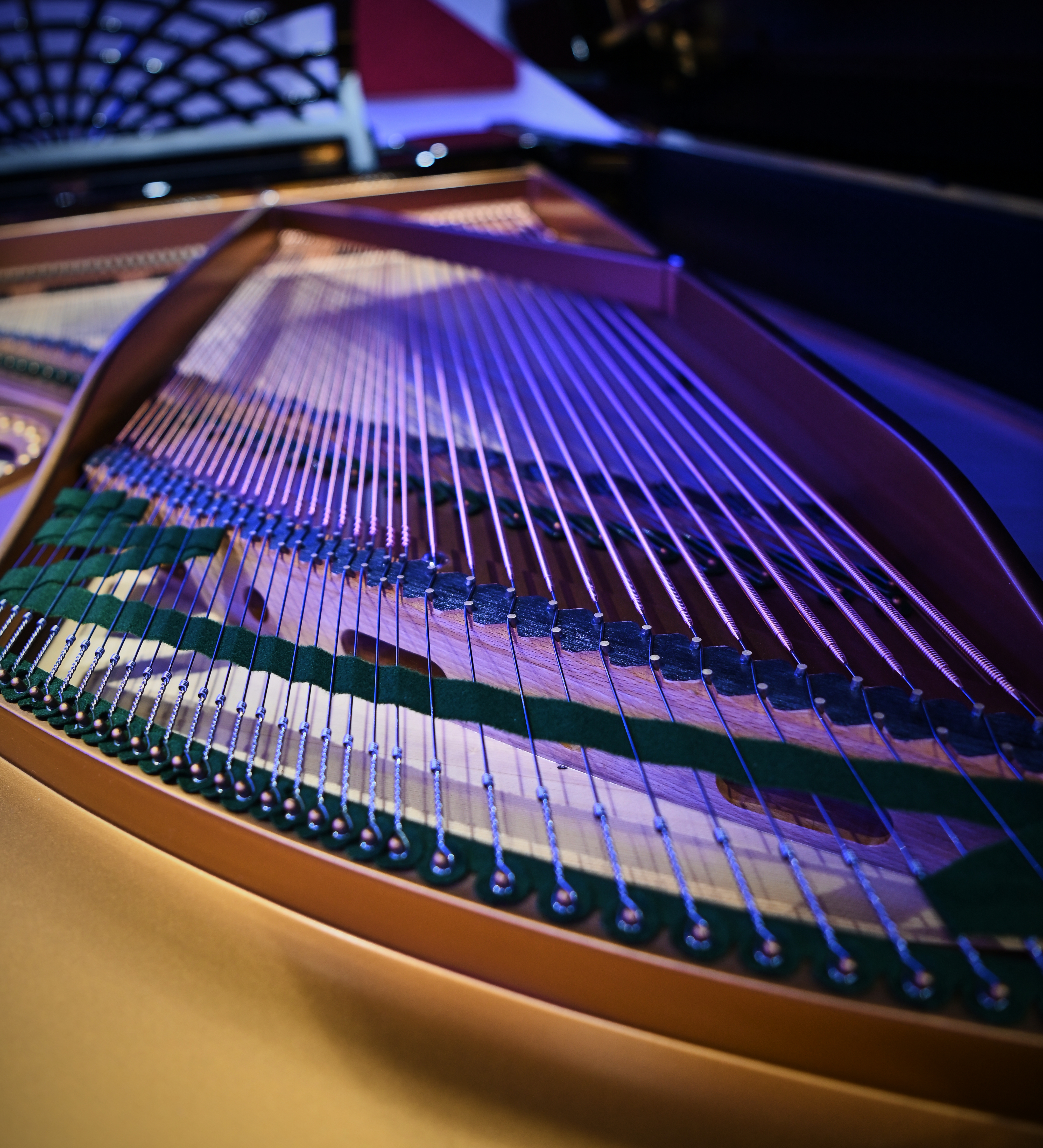 1923 Bechstein Model B