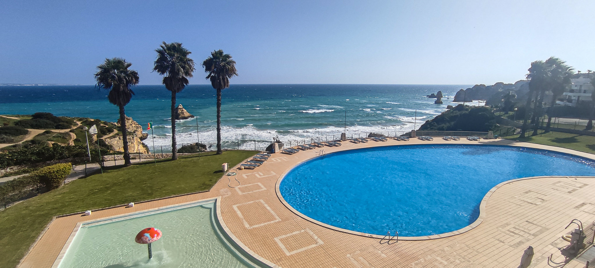 SHINOBI TRAINING CAMP