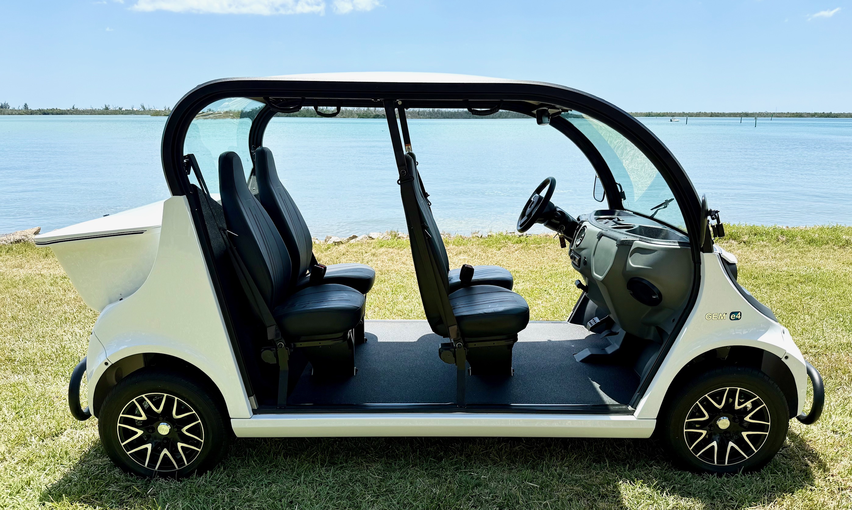 2021 Polaris GEM e4