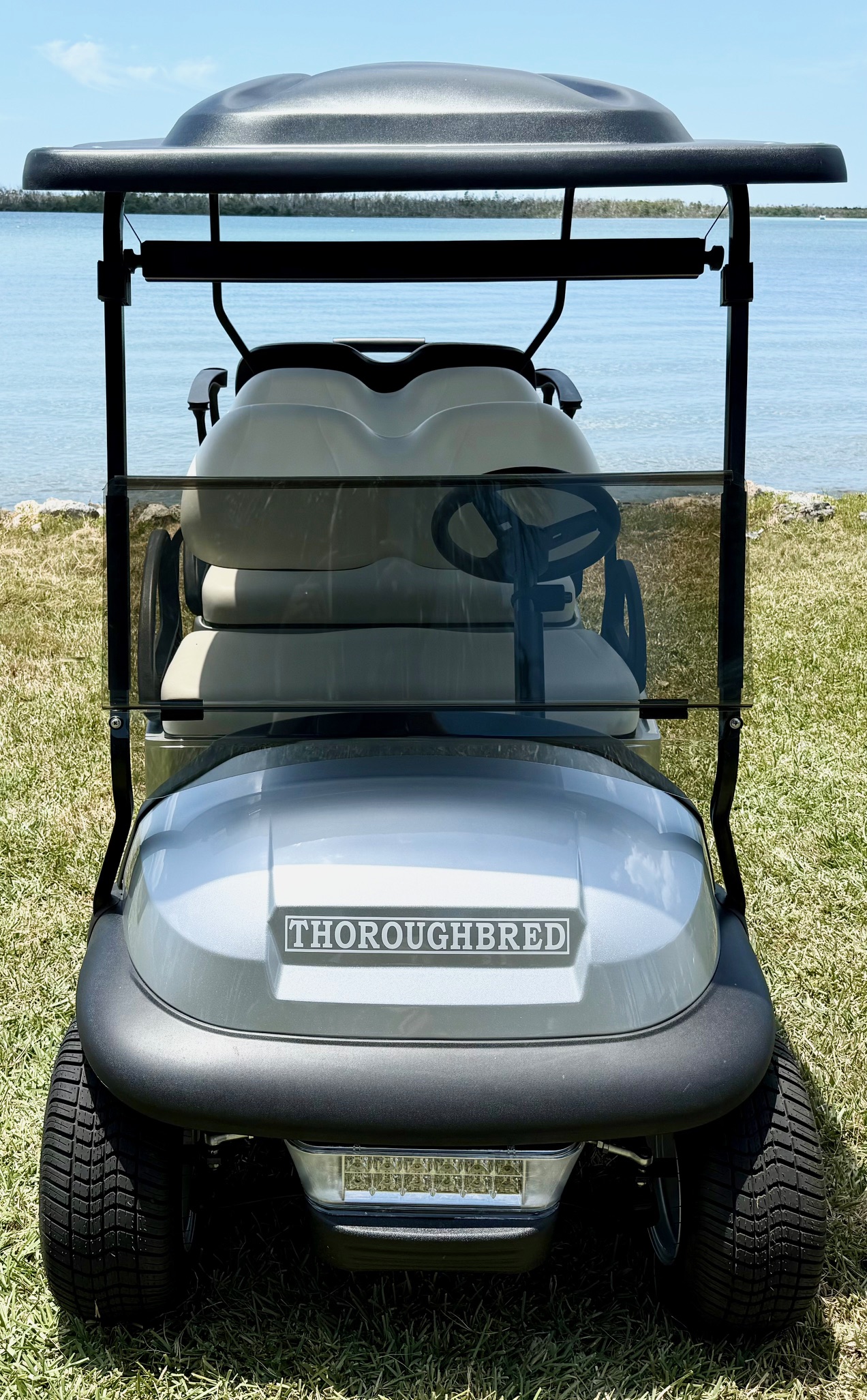 2026 Thoroughbred Custom Club Car Precedent 6 Passenger