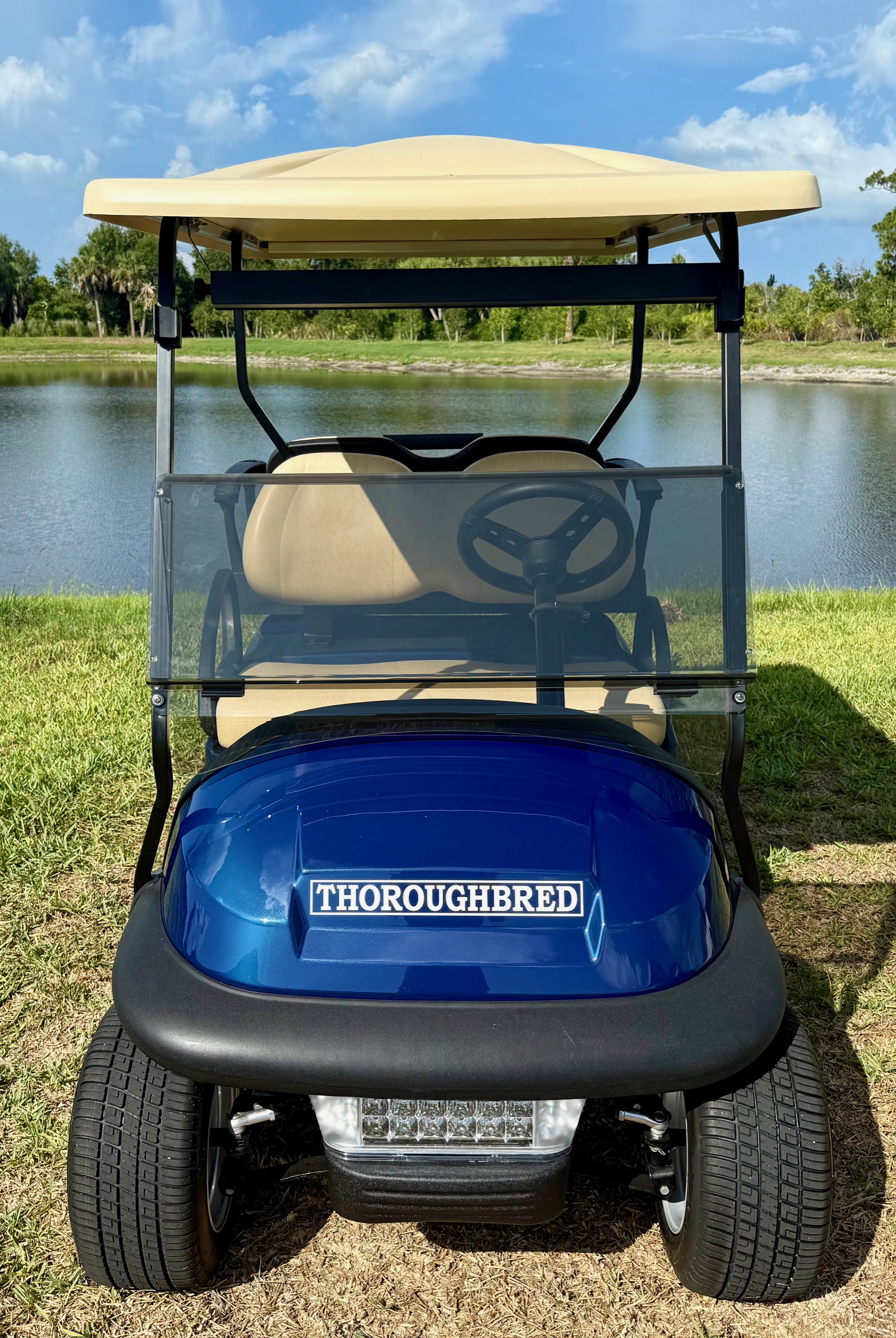 2005 Remanufactured Club Car Precedent