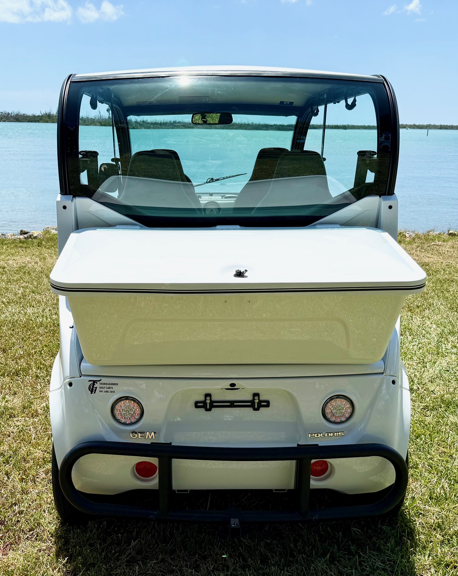 2021 Polaris GEM e4