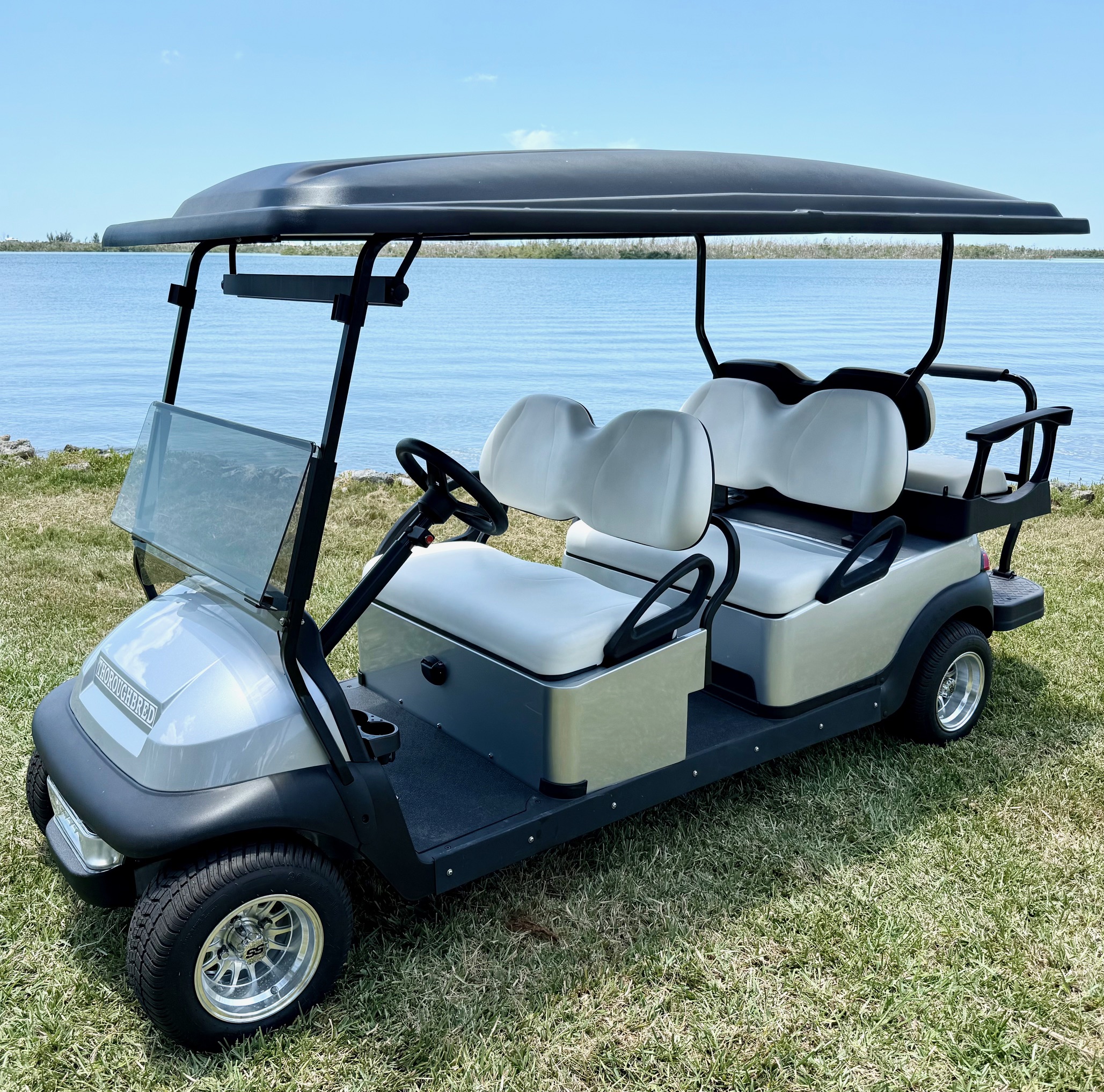 2026 Thoroughbred Custom Club Car Precedent 6 Passenger