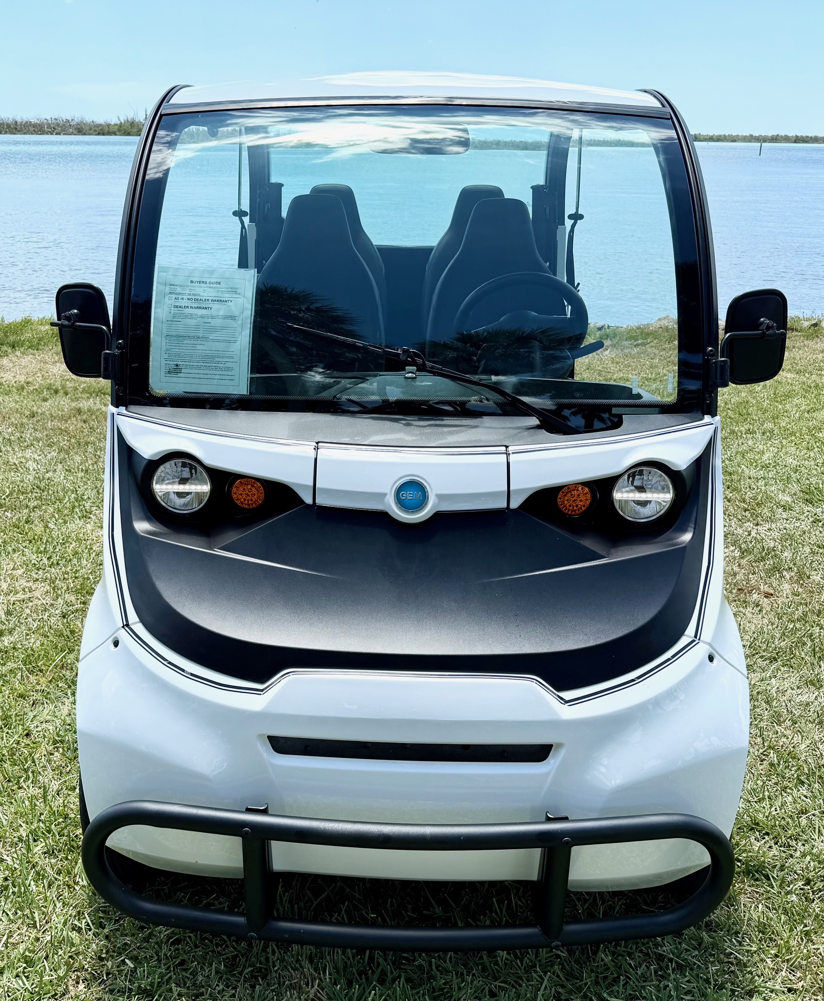 2021 Polaris GEM e4