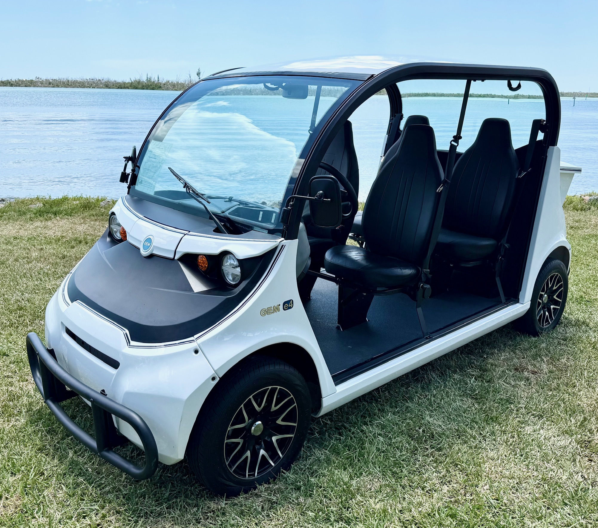 2021 Polaris GEM e4