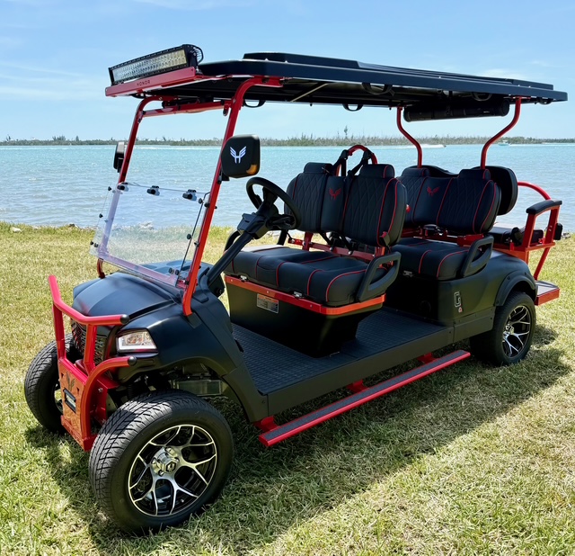 2026 Honor G1 LSV 4+2