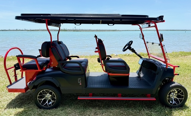 2026 Honor G1 LSV 4+2