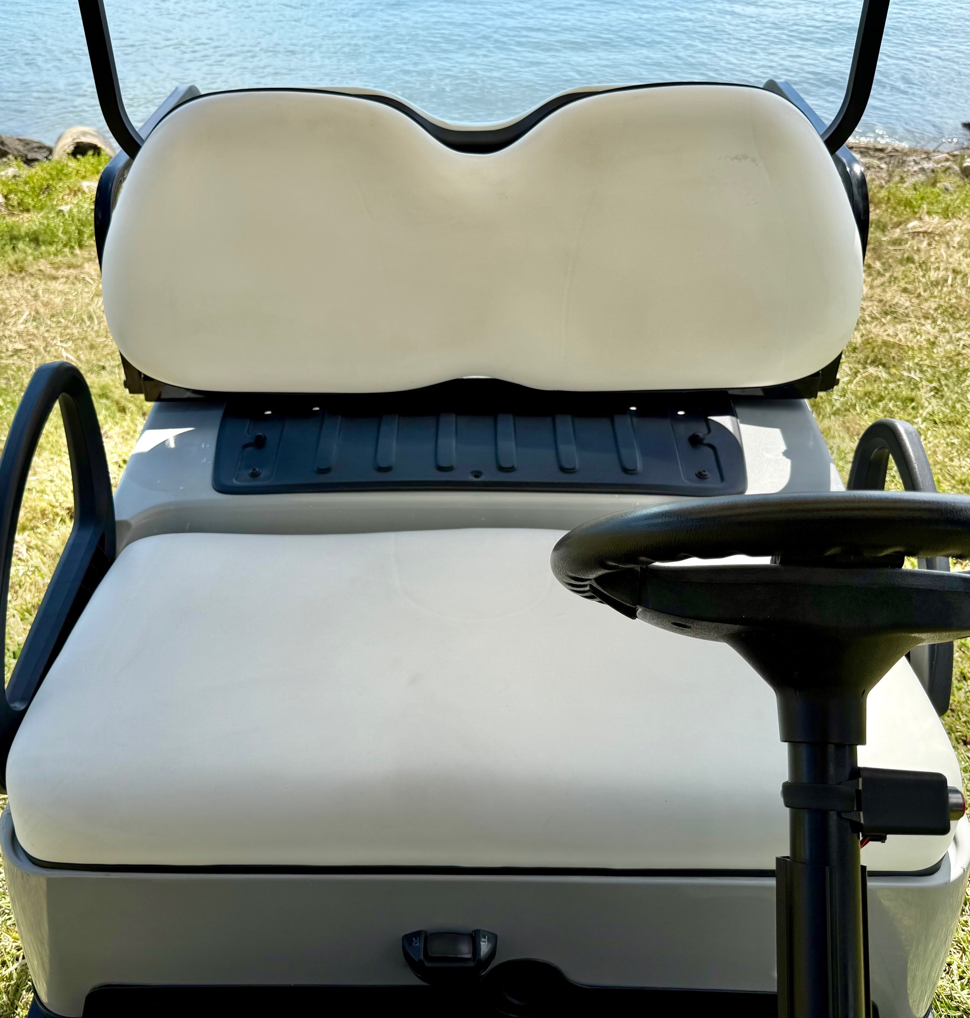2025 Thoroughbred Custom Golf Cart
