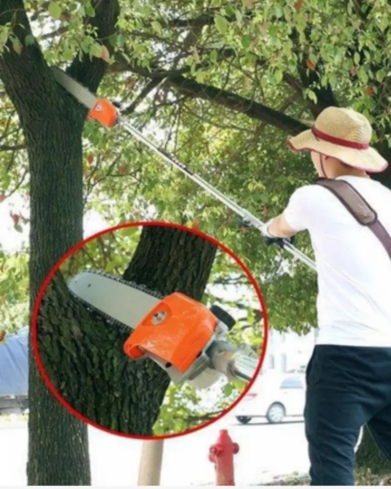 Débroussailleuse, Taille‑Haie & Tronçonneuse