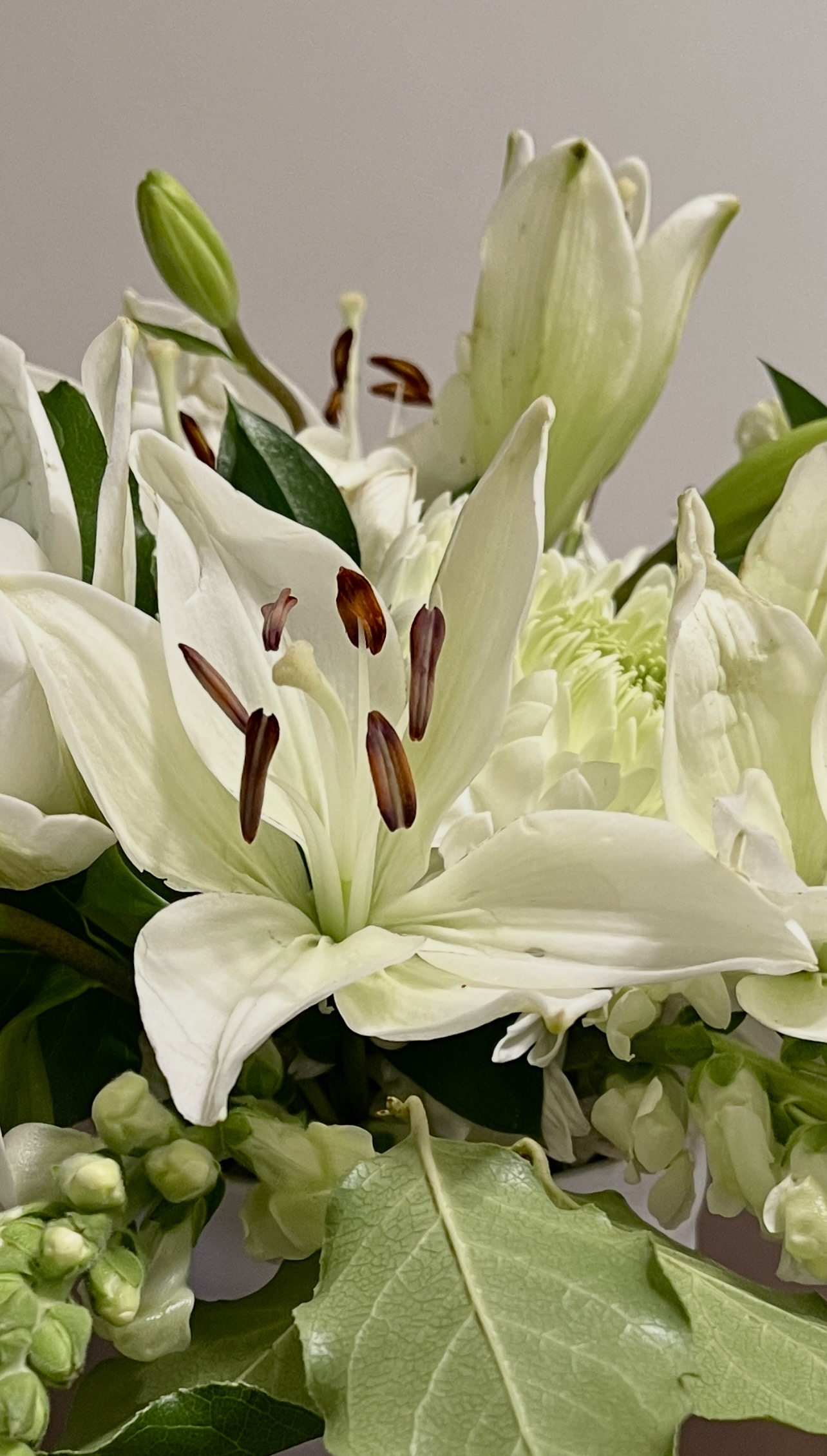 The Blooming White Lilly Arrangement