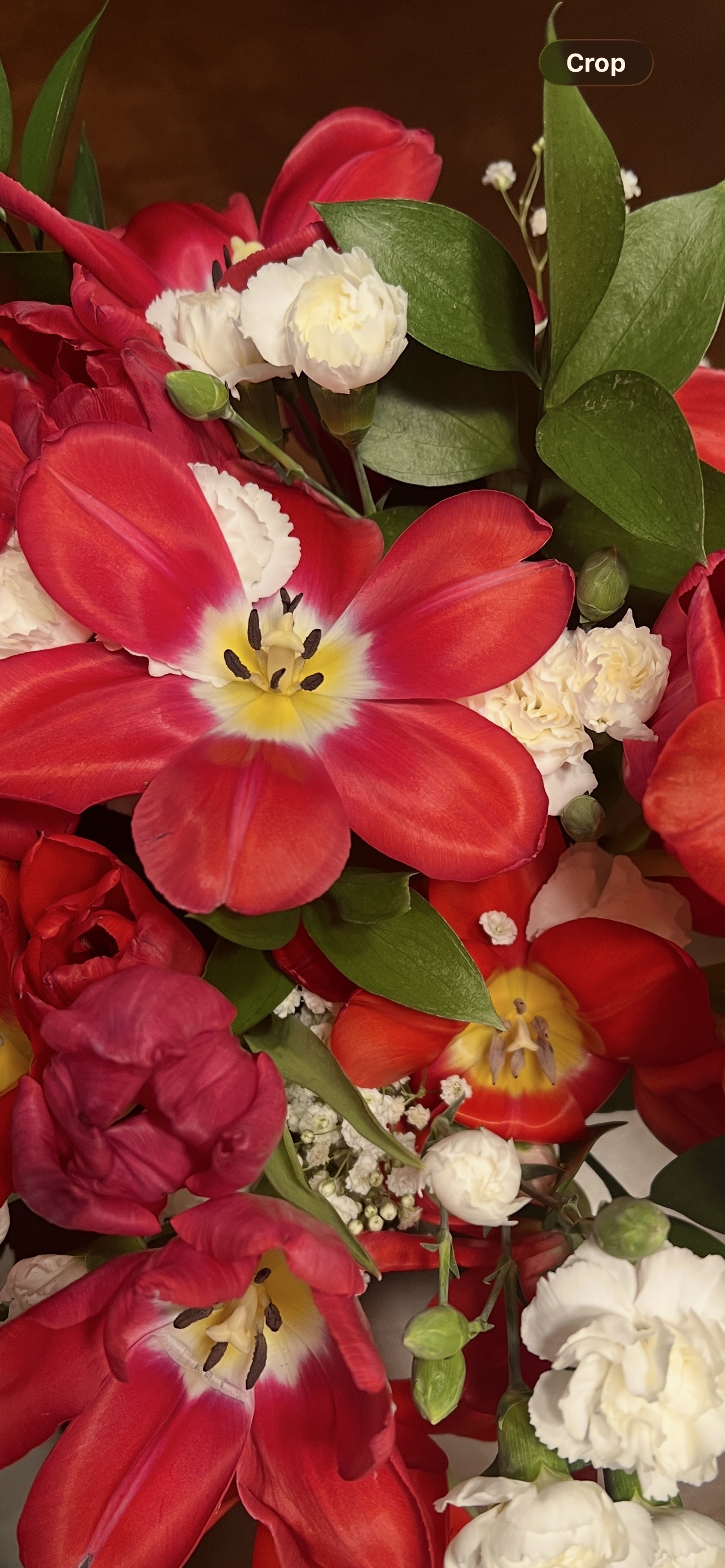 The Playful Passion Arrangement