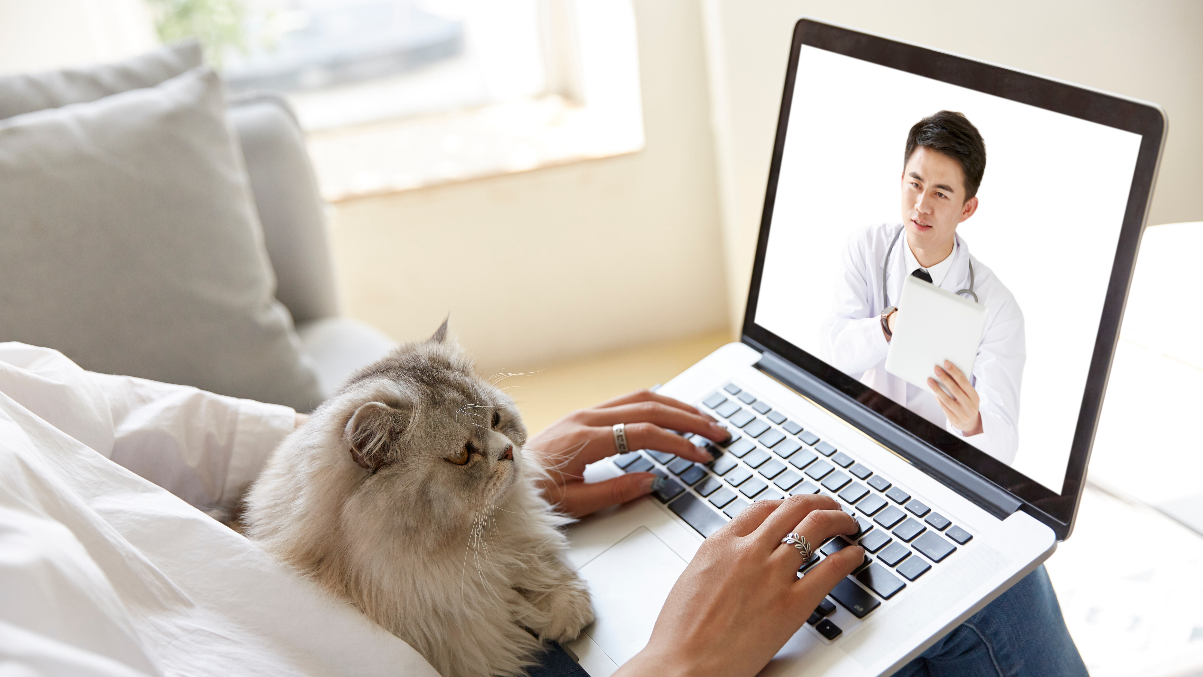 Online Vet Consultation