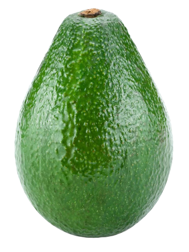 Avocado ( Voca )