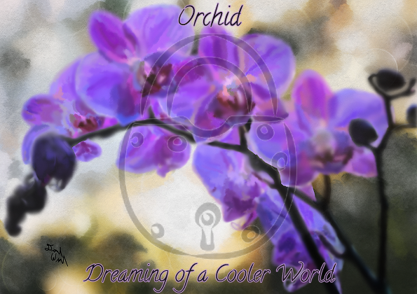 Purple Orchid