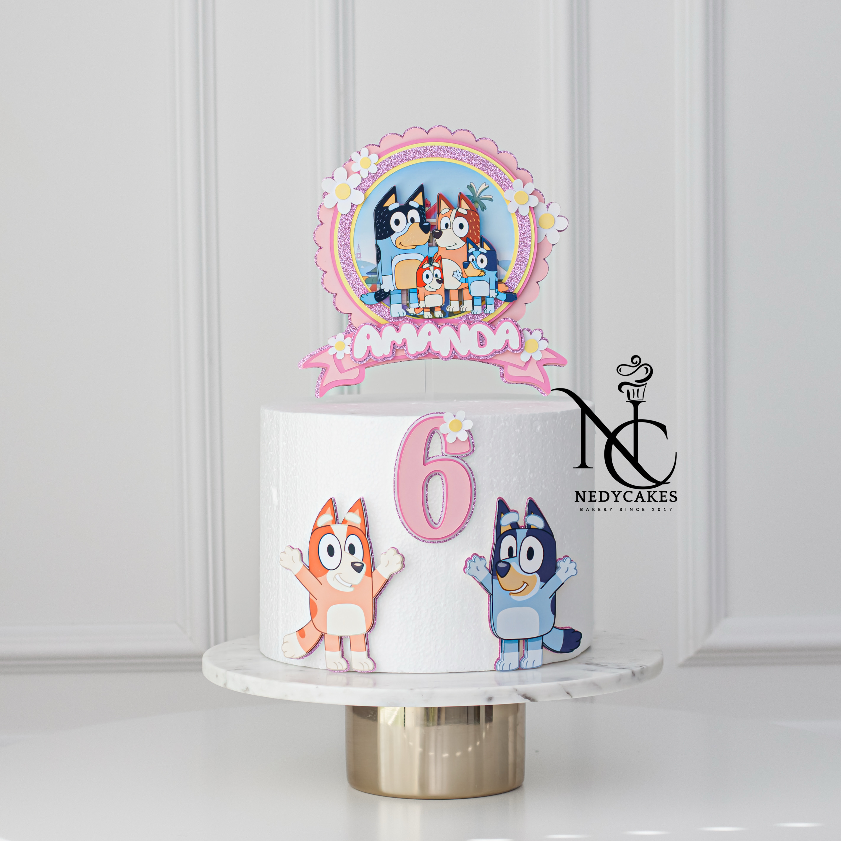 Bluey and Bingo Girl