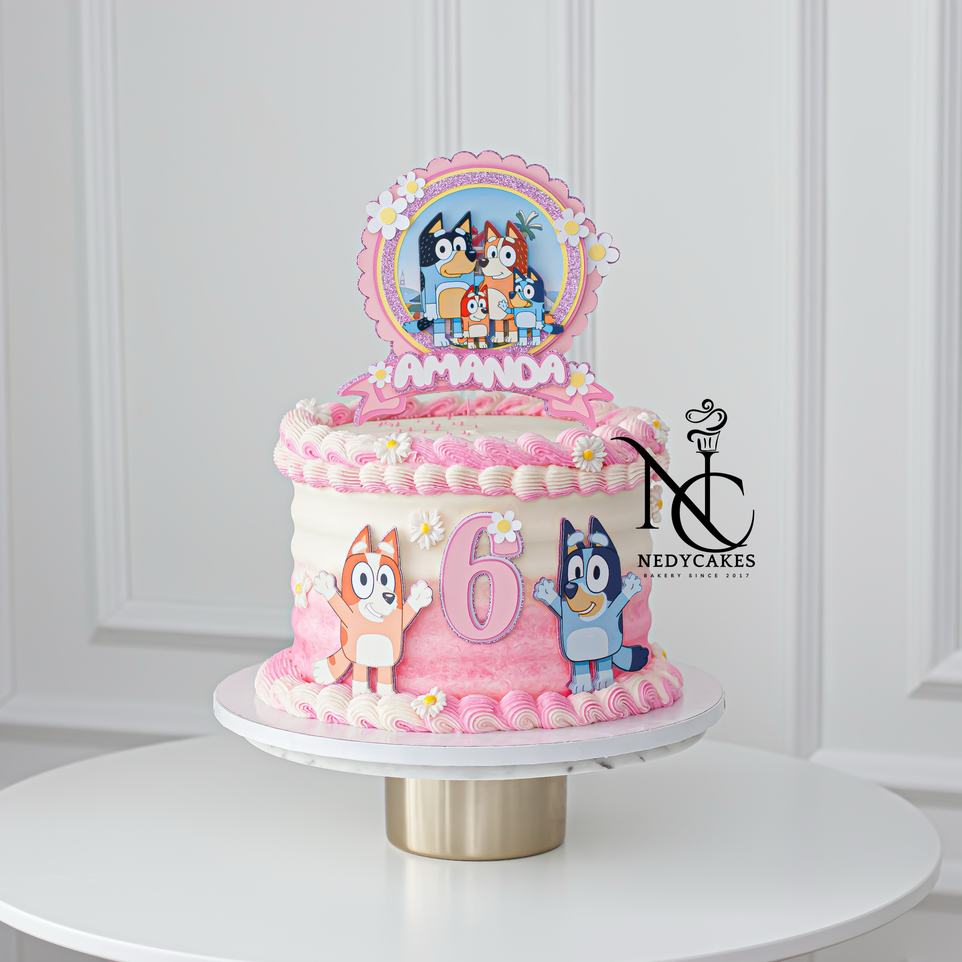 Bluey and Bingo Girl