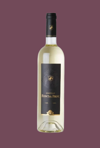 Château Font du Broc