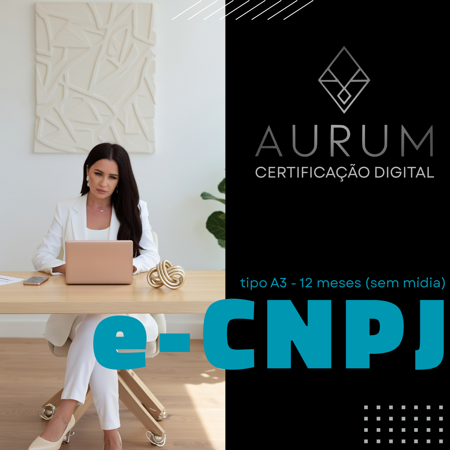 e-CNPJ tipo A3 - 12 meses (sem mídia) 