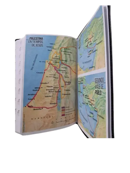 Biblia Reina Valera 1960