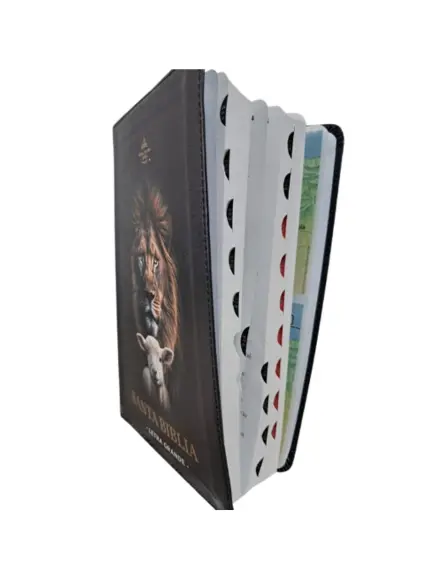 Biblia Reina Valera 1960