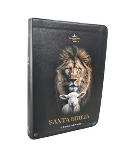 Biblia Reina Valera 1960