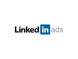 LinkedIn Ads Management