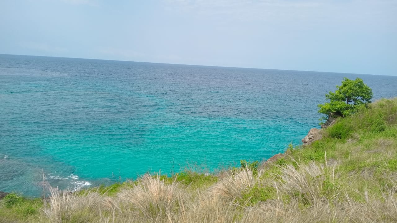 Zona Norte