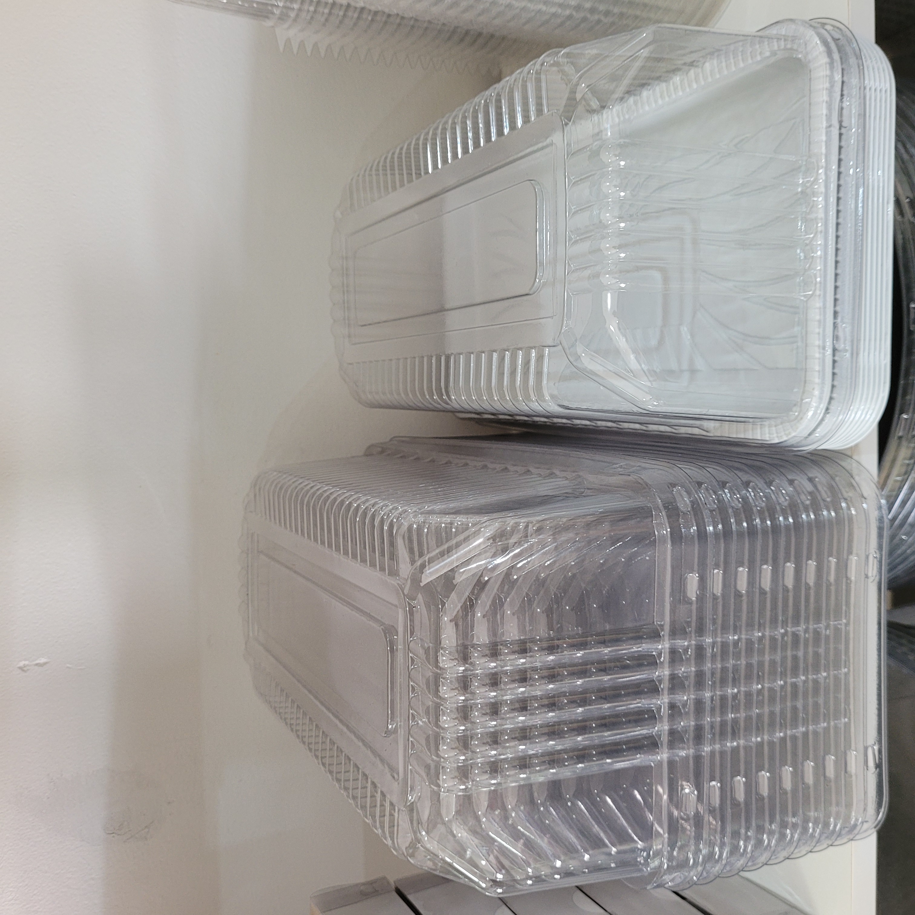 G 65 Embalagem Plástica Retangular com tampa