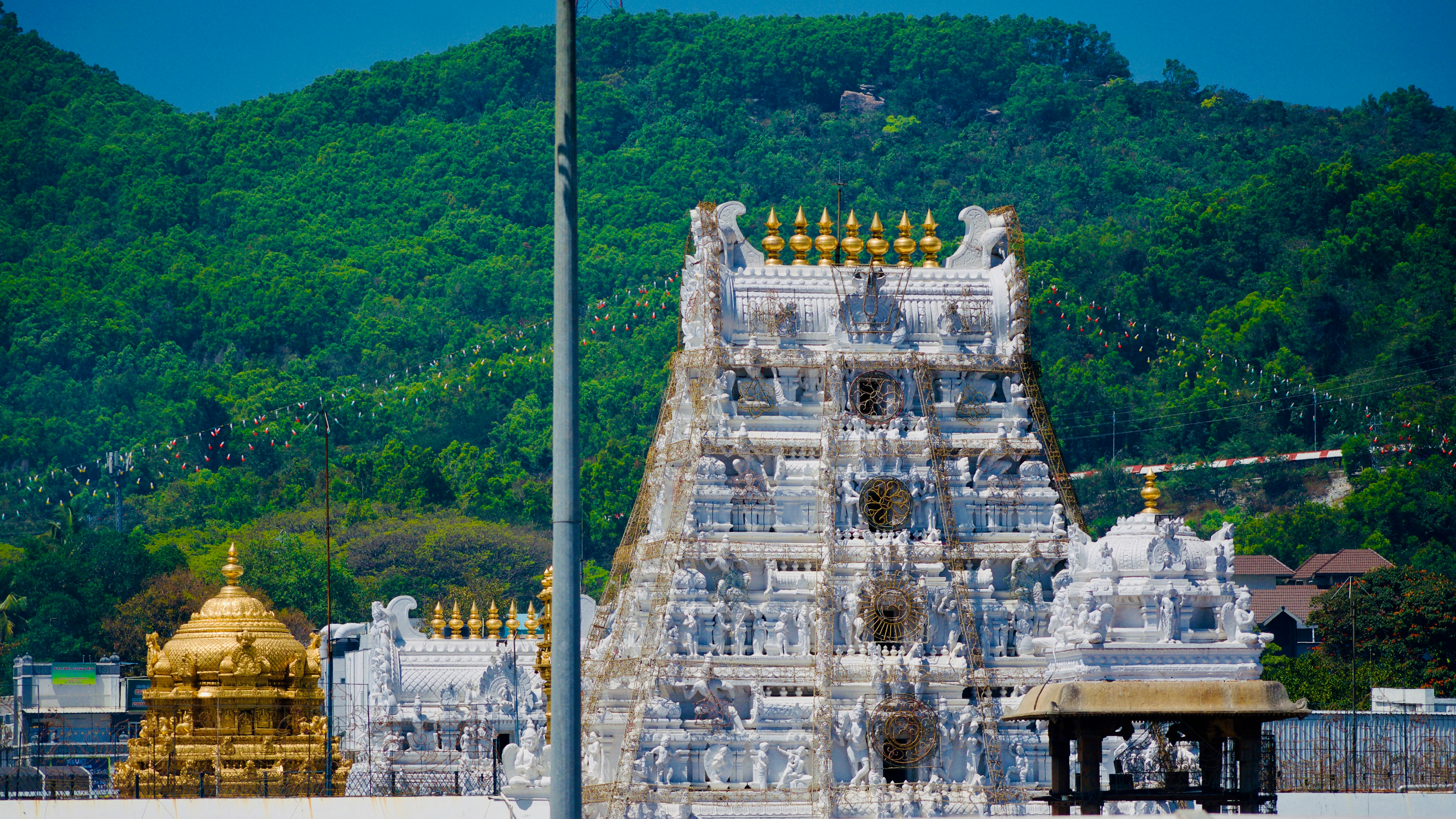 Tirupati Balaji Darshan