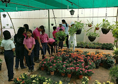 Yusuf Meherali Centre + Karnala Bird Sanctuary