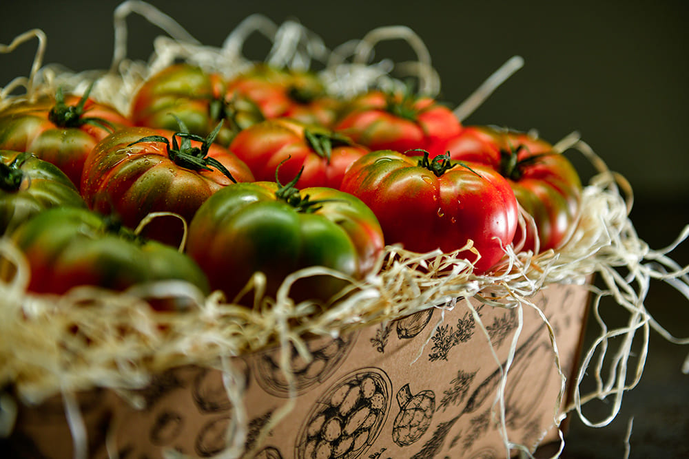 Pomodori ripieni . Tomates rellenos